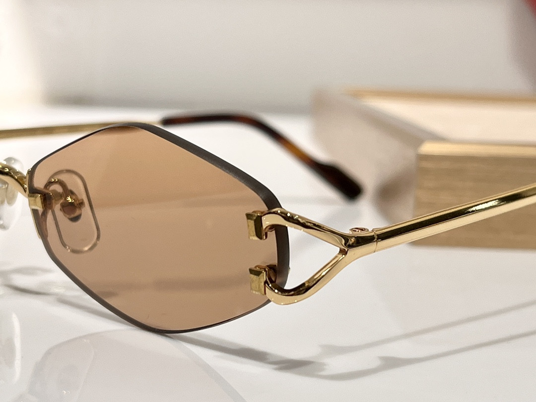Ca*t*er Glasses CT8100359 48-20-140